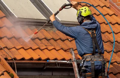 Démoussage et hydrofuge de toiture à Muizon